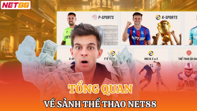 Thể Thao Net88 - Chuyên Mục Cá Độ Chất Lượng 2025 1 Tóm tắt đôi điều về sảnh chơi đẳng cấp nhất